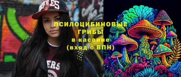 СК Беломорск