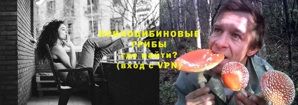 2c-b Белокуриха