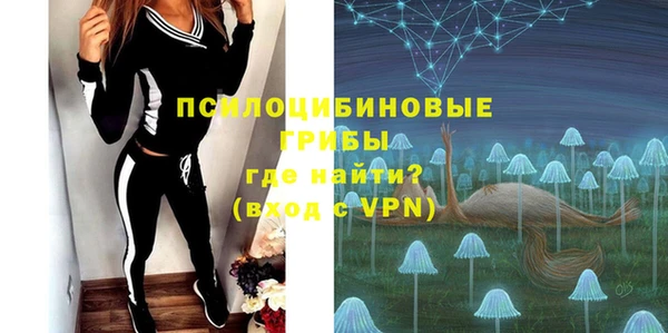 2c-b Белокуриха