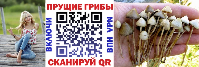 Галлюциногенные грибы MAGIC MUSHROOMS  купить  сайты  MEGA зеркало  Козьмодемьянск 